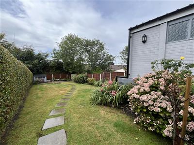 Picture 20